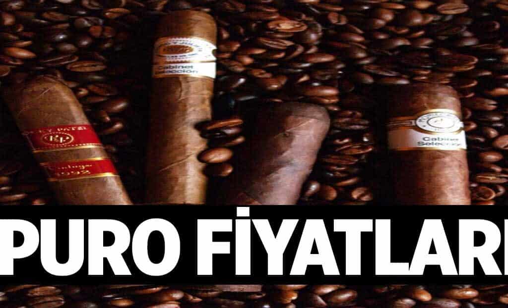 Puro Fiyatlari 1024x622nPj.jpg