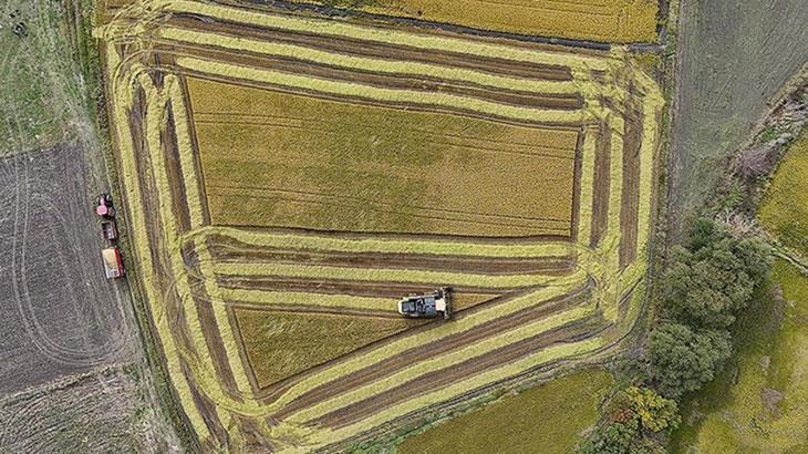 tarimsal uretime yonelik limitler yeniden belirlendi Lh7WxVjF.jpg