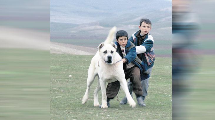 sivas ucretsiz erisime acildi AONMHftU.jpg